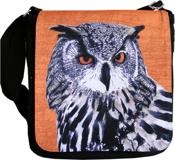 Hedwig, Bag With Owl - Plecstrums Owls Framed Guitar Pick Display Plectrums (600x600), Png Download