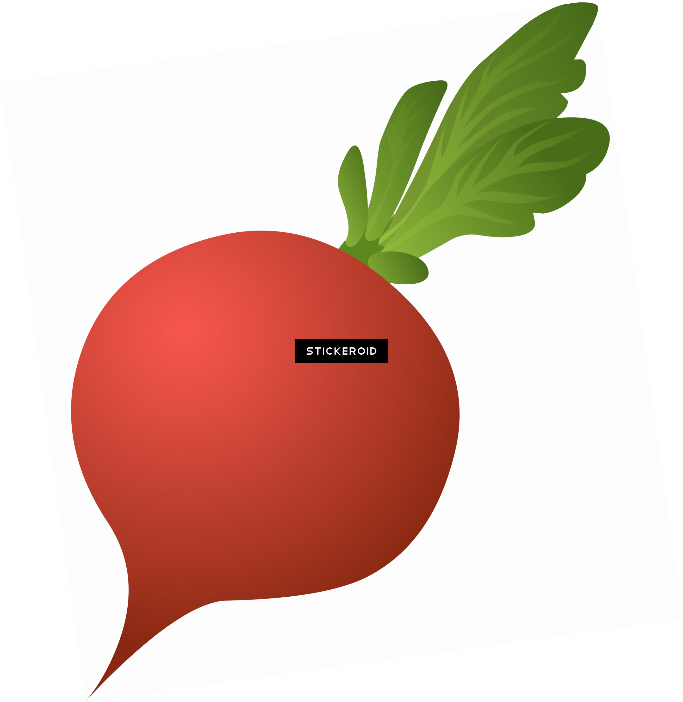 Beet Vegetables (2622x2698), Png Download