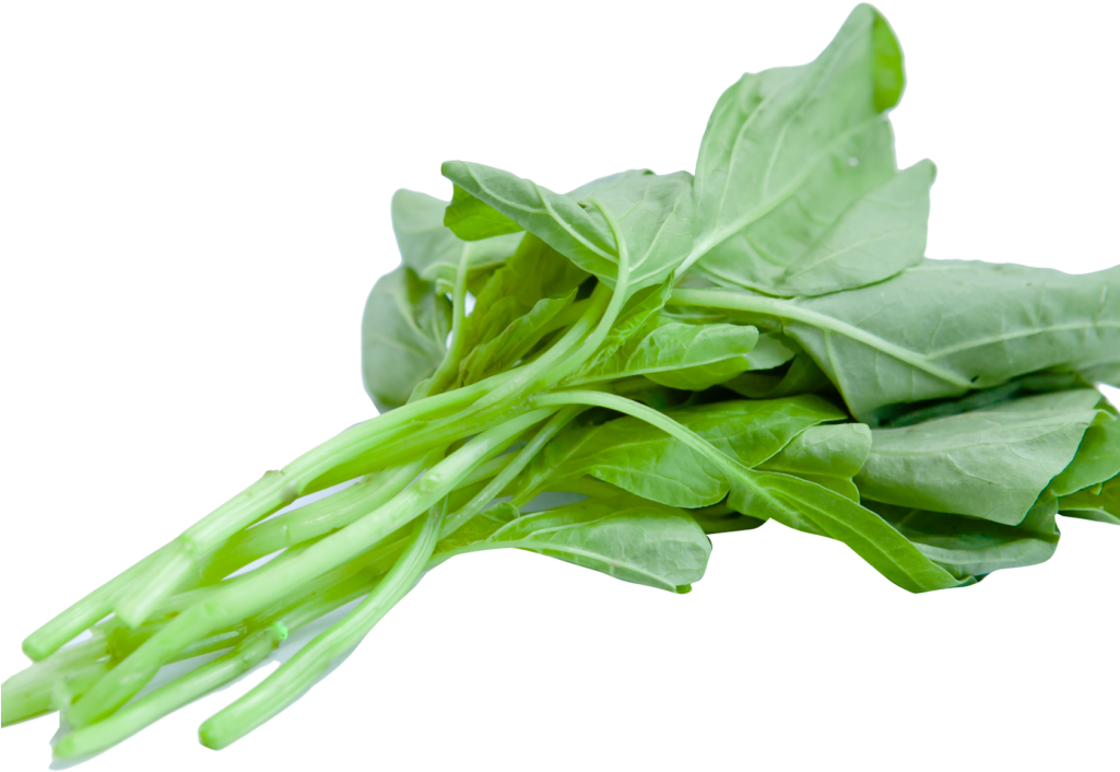 Chinese Spinach Png Image (1024x768), Png Download
