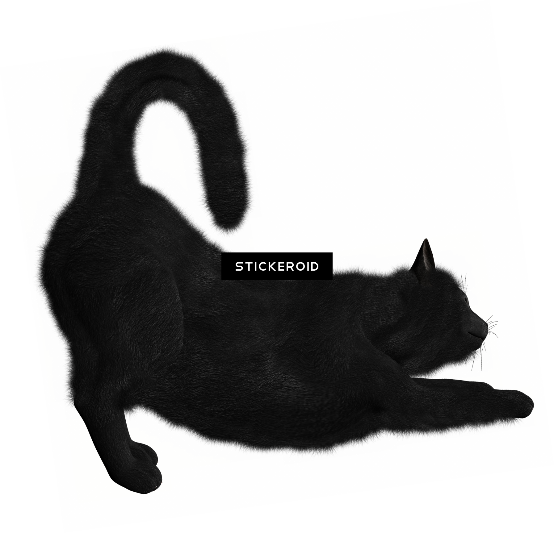 Cat Cats - Cat Yawns (1794x1727), Png Download