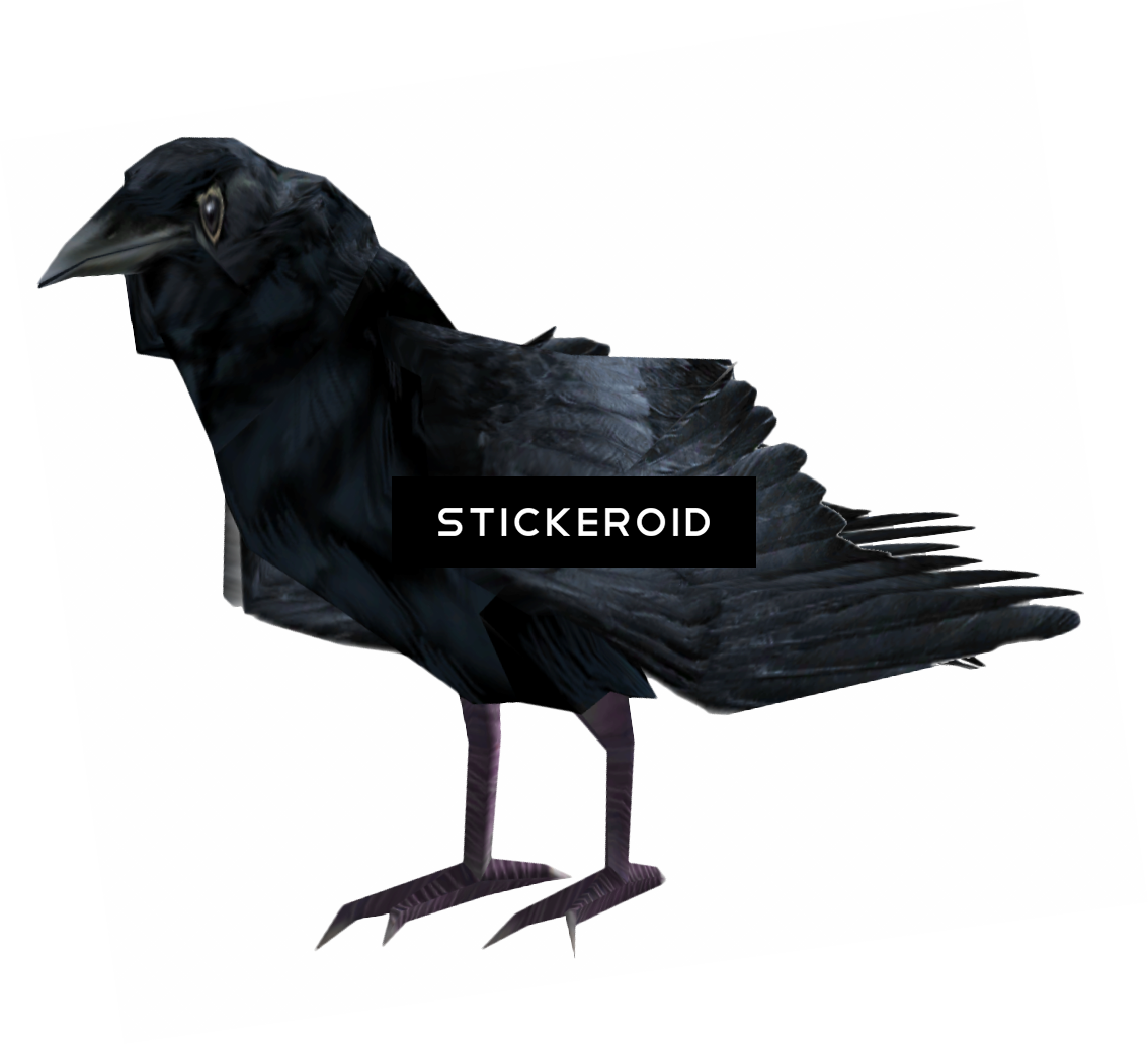 Common Raven Birds - Portable Network Graphics (1134x1033), Png Download