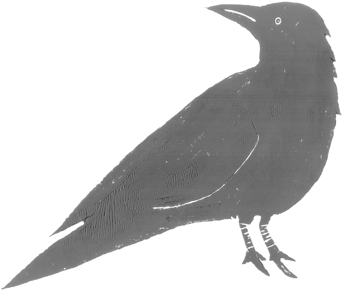 Raven Feather Png (1000x695), Png Download