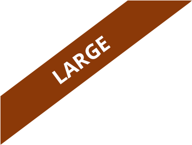 Raven Stealing The Sun Bracelet, Xl - Tan (800x800), Png Download