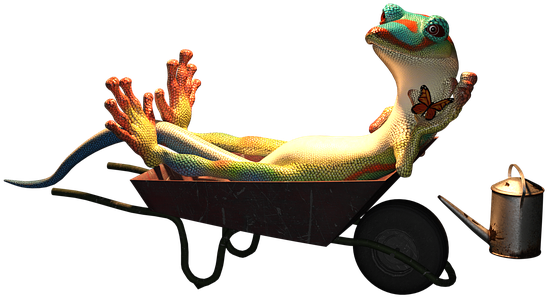 Gecko, Animal, Garden, Lazy, Laziness, Wheelbarrow - Gecko (553x720), Png Download
