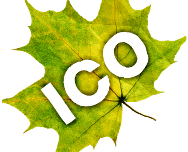 Icon Pack Android - Maple Leaf (800x640), Png Download