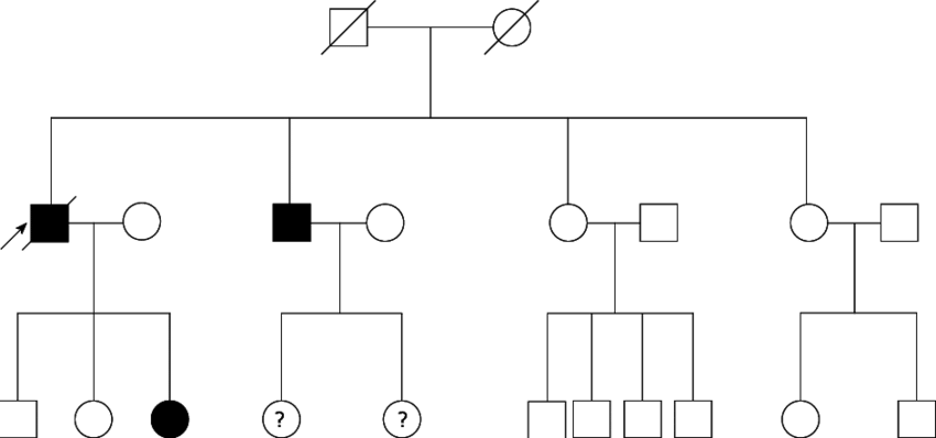Pedigree Of 74 Year Old Man Affected By Gallbladder - Medicine (850x398), Png Download