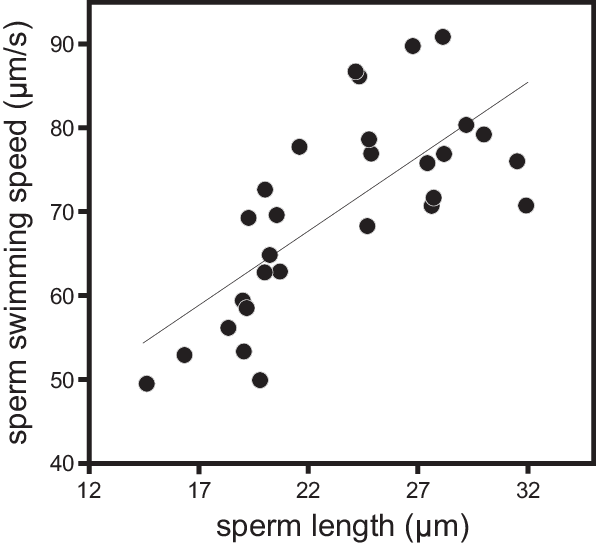 Relation Between Sperm Swimming Speed At - Degrees Of Freedom (596x546), Png Download