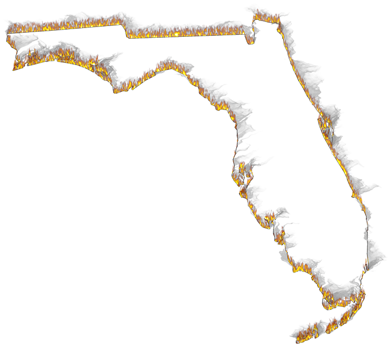 A Flame And Smoke Outline Map Of Florida - Florida (768x680), Png Download