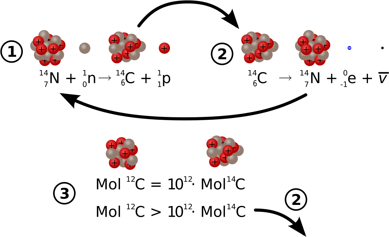 Image - Alpha Decay Of Carbon 12 (1300x800), Png Download
