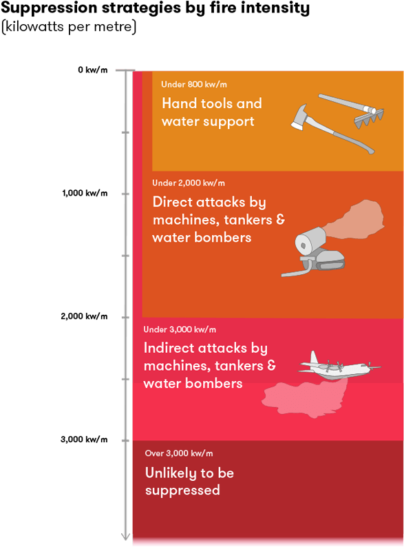Fires Under 800kw/m Can Be Suppressed With Hand Tools - Fire (614x828), Png Download