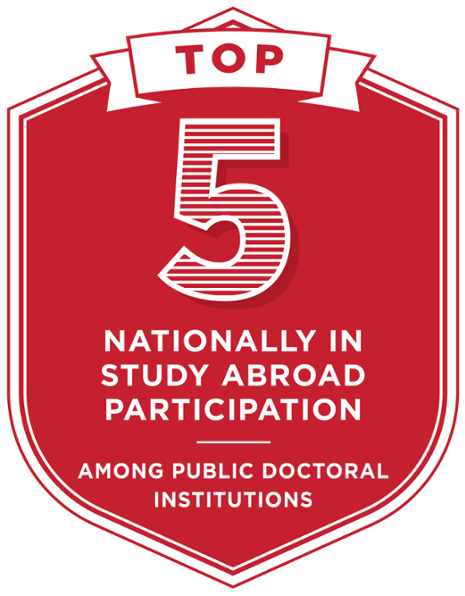 Top 5 Nationally In Study Abroad Participation Among - Organizing For Health Care (600x599), Png Download