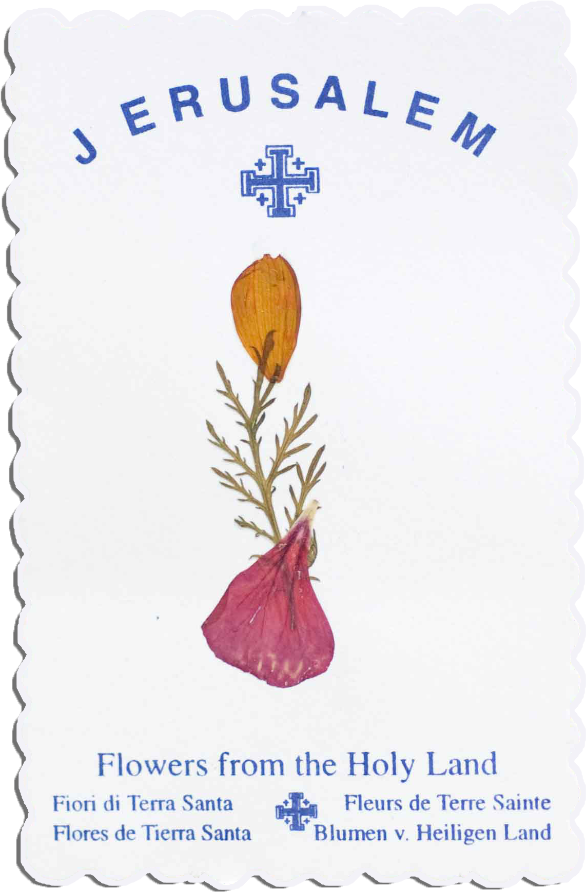 Dried Flower Cards - Postage Stamp (1280x1864), Png Download