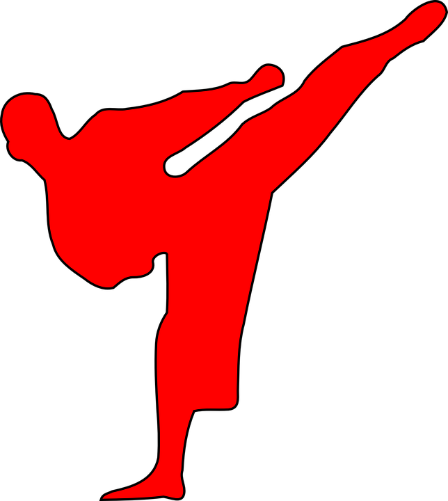 Martial Arts, Red, Fight, Karate, Silhouette, Judo - Karate Kick Silhouette (644x720), Png Download