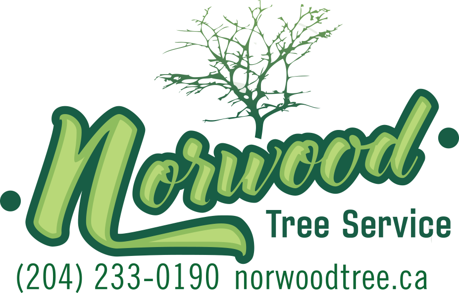 Pruning (927x593), Png Download