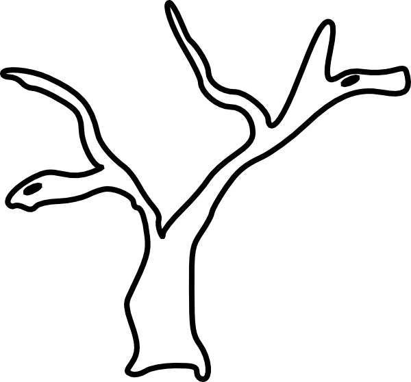 Tree Branch Black And White Clipart (600x558), Png Download