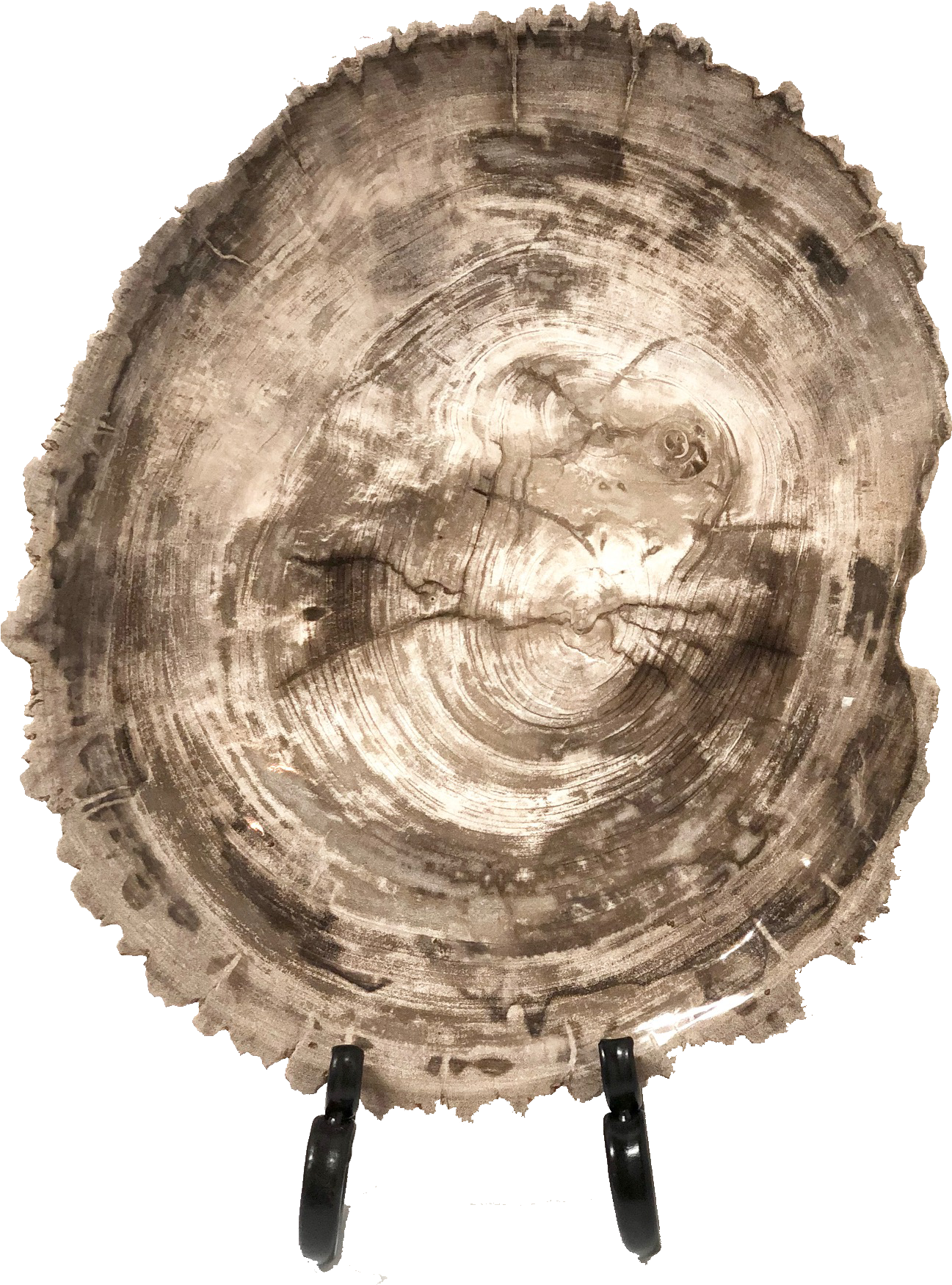 Paul Michael Company Exclusives Translation Missing (1318x1767), Png Download