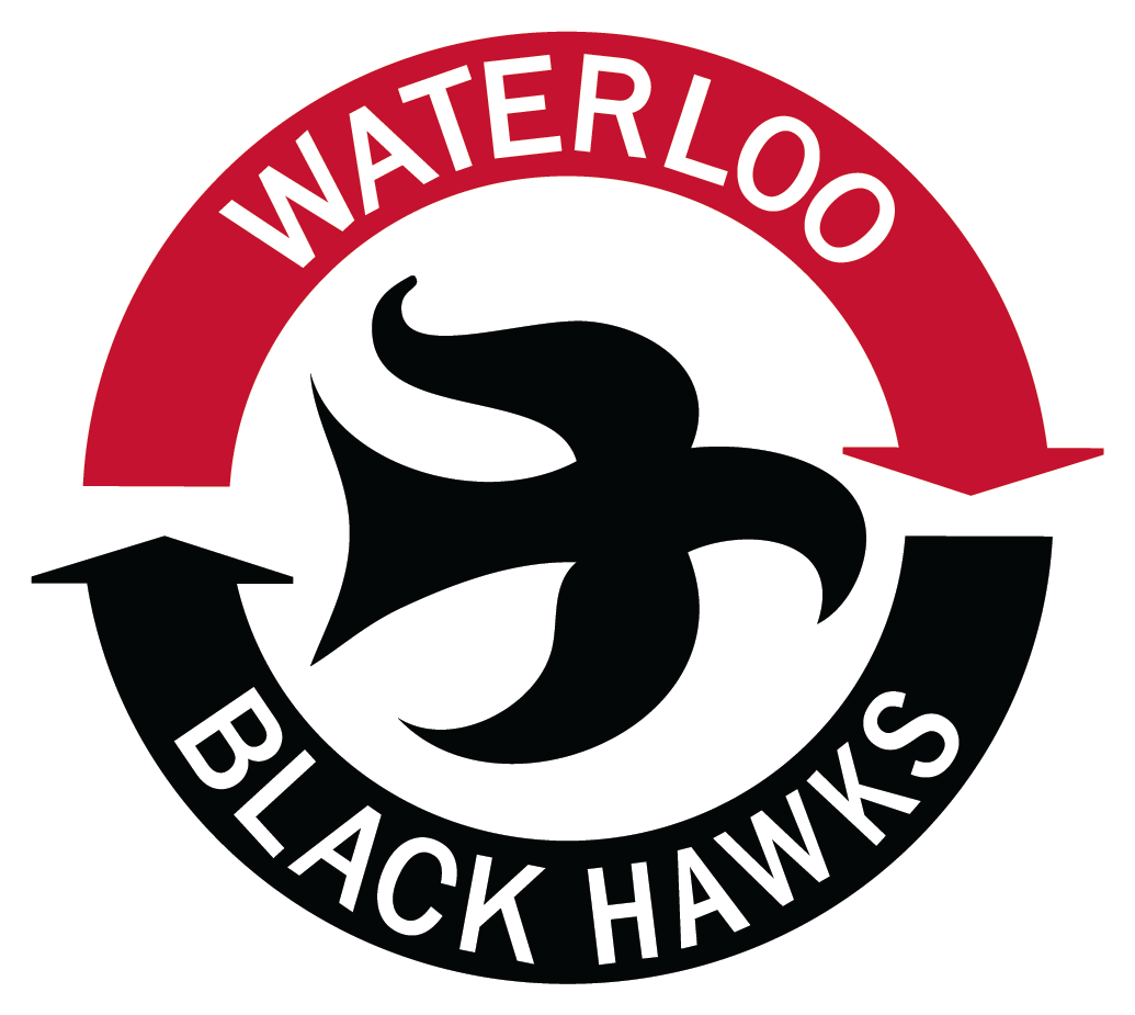 Blackhawks Png (1035x925), Png Download