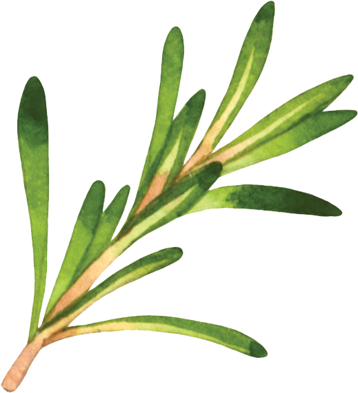 Rosemary - Mindful Vegan By Lani Muelrath (729x747), Png Download