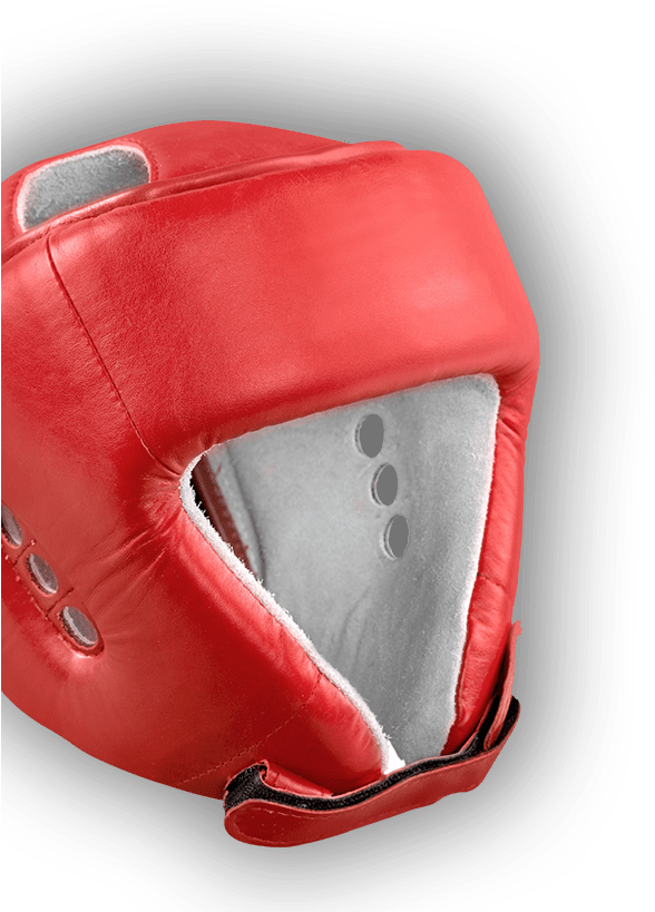 Gladiator Fight - Boxing (658x820), Png Download