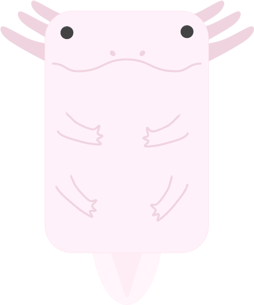 Animalaxolotl - Name (960x720), Png Download