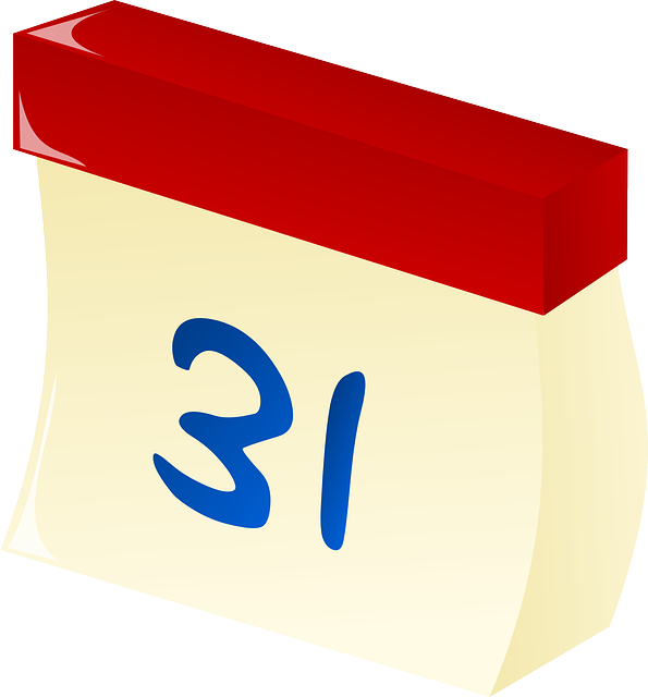 Junior Year College Prep Timeline - Year Icon (595x640), Png Download