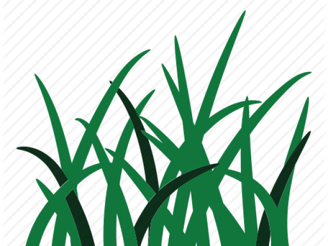 Weed Clipart Grass Root - Grass Icon Png (640x480), Png Download