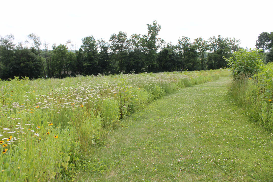 Churchview Park Is A - Field (1360x721), Png Download