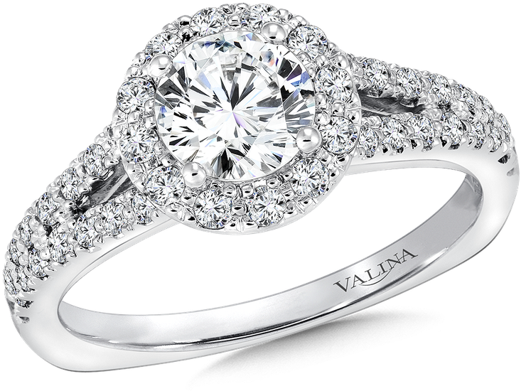 Valina Round Halo Mounting - Gms White Rhodium Plated Metal, Lady Woman Bride Engagement (800x800), Png Download