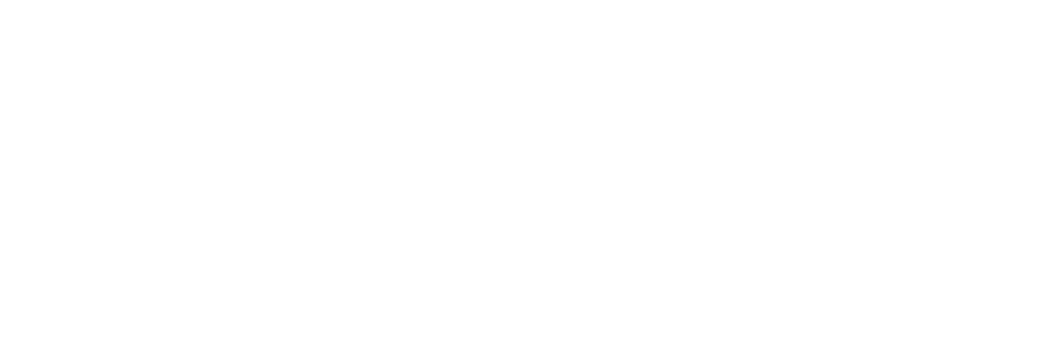 Southern Bride And Groom - Wordpress Logo White Png (950x950), Png Download