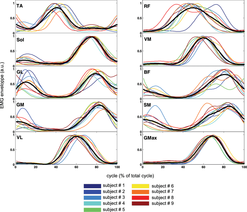 Emg Envelope For 10 Lower Limb Muscles Obtained In - オゾン 層 (850x730), Png Download
