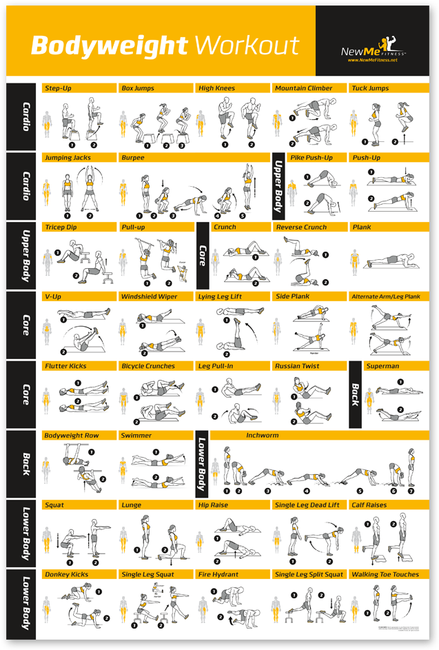 Bodyweight Exercise Poster - Workout Posters (1000x1000), Png Download