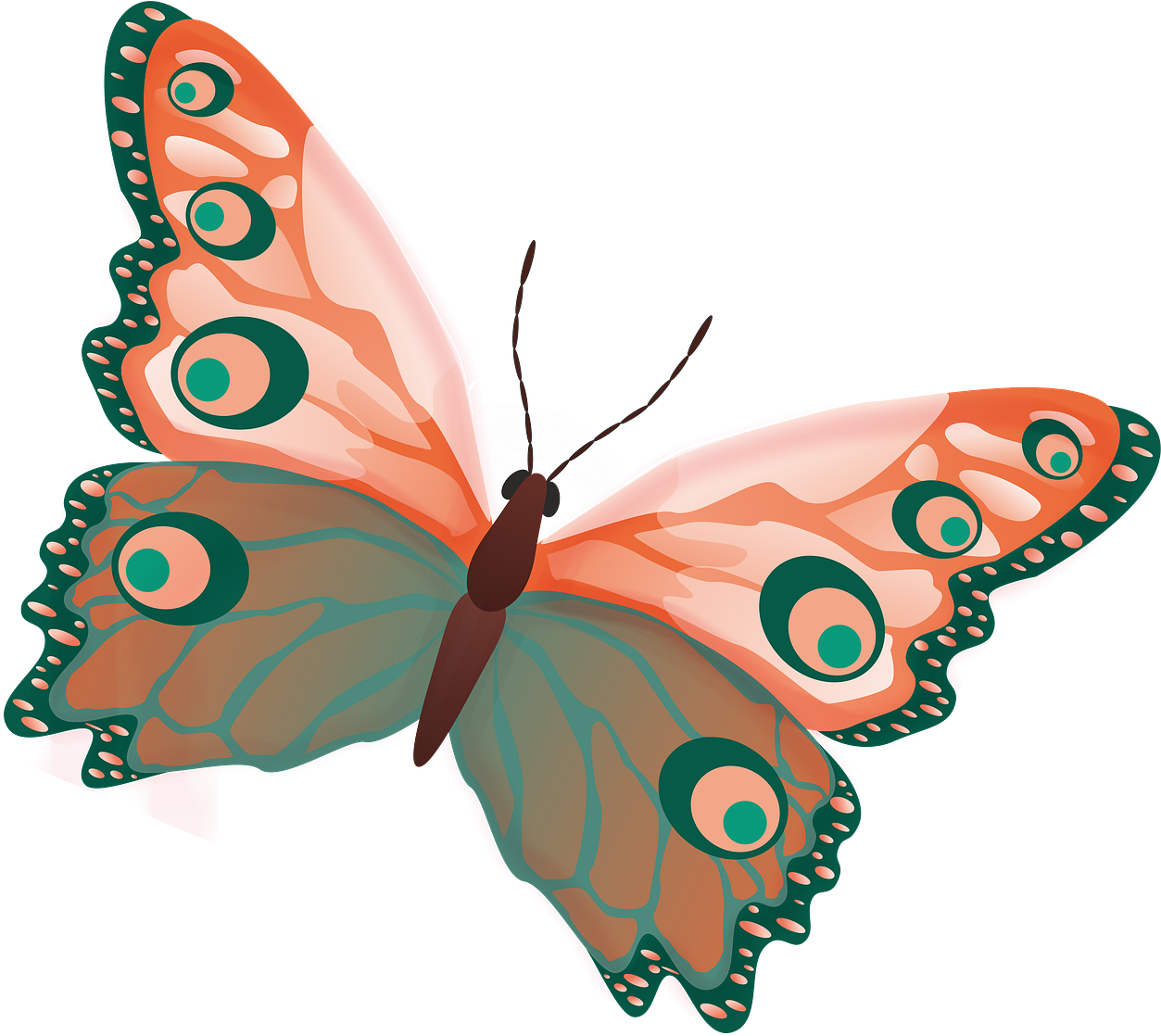 Butterfly Png Image Free Picture Download Pngimgcom - Silhouette Of Butterfly (1280x1147), Png Download
