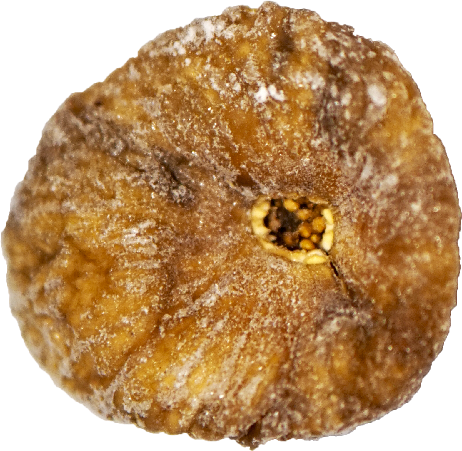 Dried Fig - Cookie (1584x1540), Png Download