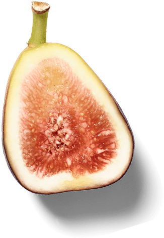 Images - Common Fig (1040x1040), Png Download