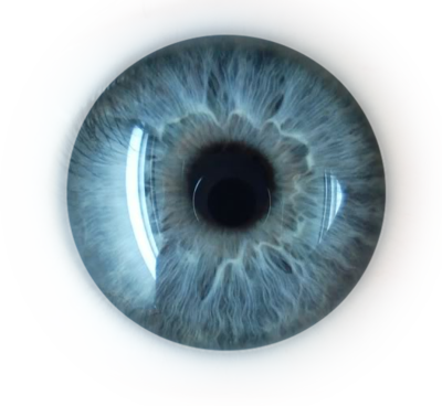 Iridology Healthy Eye (400x368), Png Download