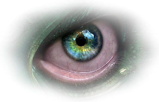 Eye-025 - Eyes (540x347), Png Download