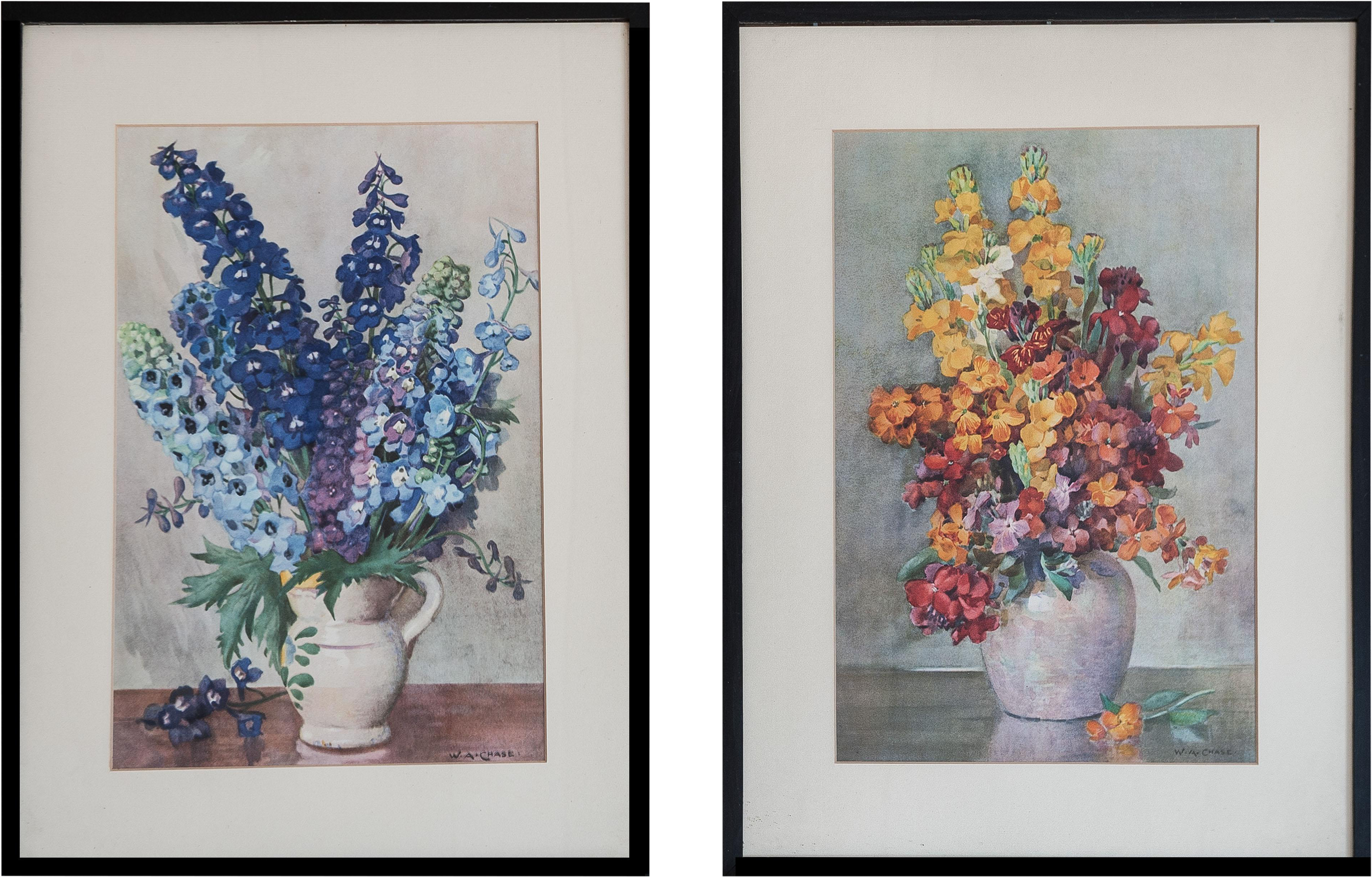 Delphinium Drawing Painting (4246x2713), Png Download