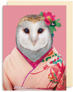 Barn Owl - Tyto Alba - Zoo Portraits (448x480), Png Download