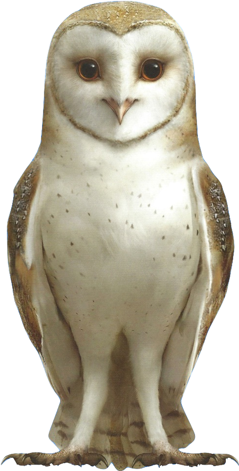 Soren - Soren Ga Hoole (499x970), Png Download