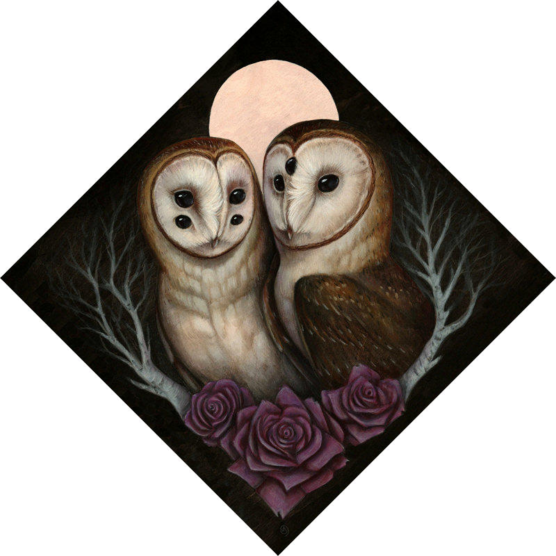 Barn Owl Couple Prints (800x800), Png Download