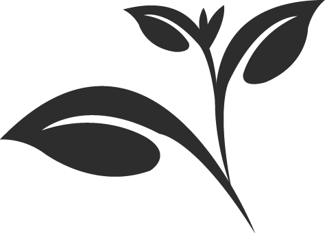 Banner Free Stock Collection Of Png High Quality Free - Tea Leaves Clipart Png (474x340), Png Download