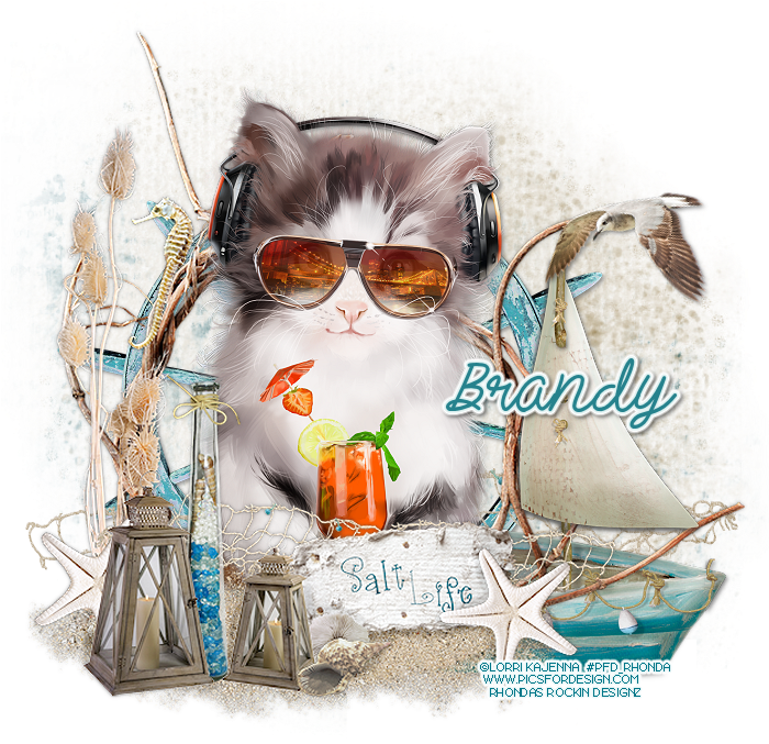 Enjoying The Salt Life - Kitten (699x691), Png Download