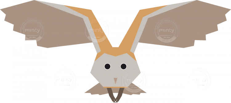 Barn Owl Bird Vector Artwork - Barn Owl (750x336), Png Download