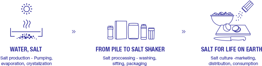 קיימות מהווה חלק מה-dna של מלח הארץ - Life Cycle Of Salt (845x220), Png Download