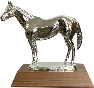 Aqha Level 1 Silver Trophy - Silver (480x480), Png Download