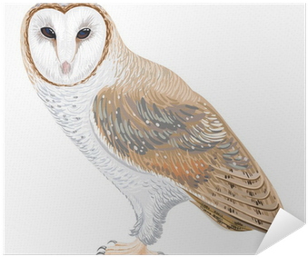 Drawing (400x400), Png Download