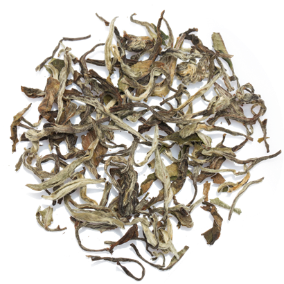 White Tea Leaves Chaisafari - Tea (410x410), Png Download