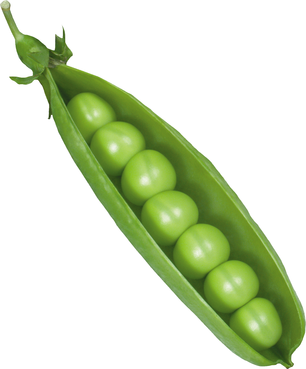 Pea Png (977x1179), Png Download