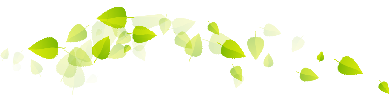 Green Tea Leaves Png (1284x316), Png Download