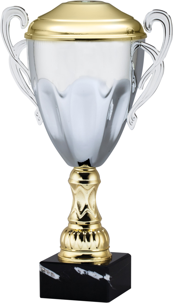 Silver Trophy - Gold (603x1024), Png Download
